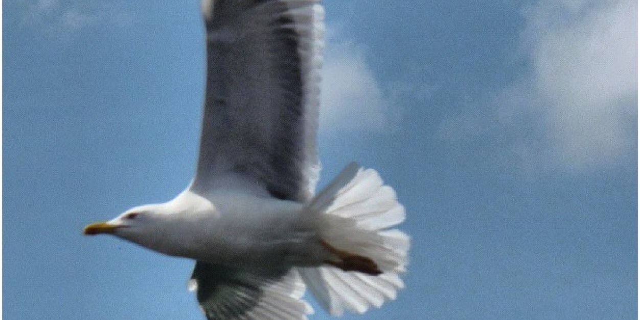 بسمة الصباح banner