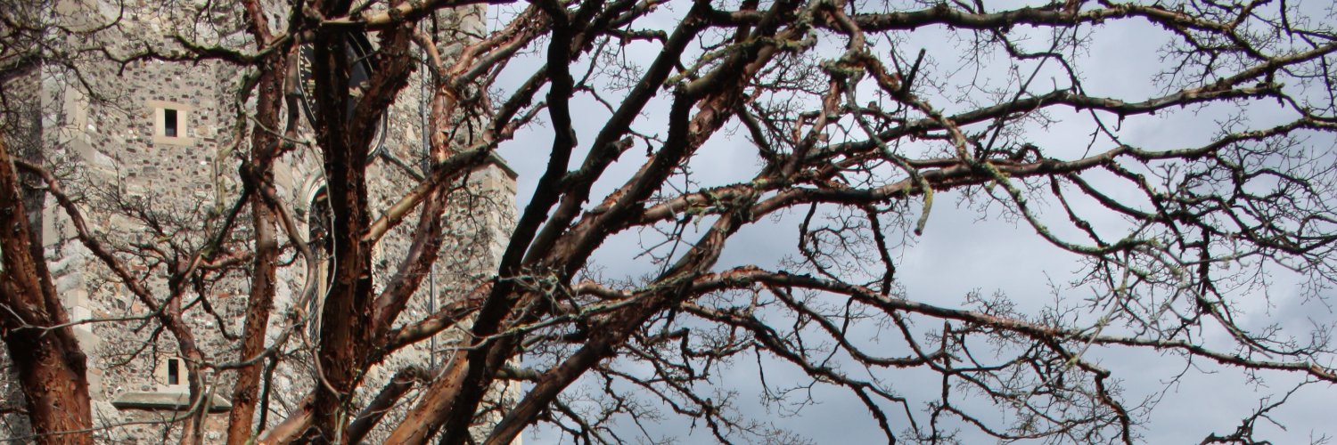 BBB_men's profile banner image
