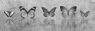 MarLl92's profile banner image