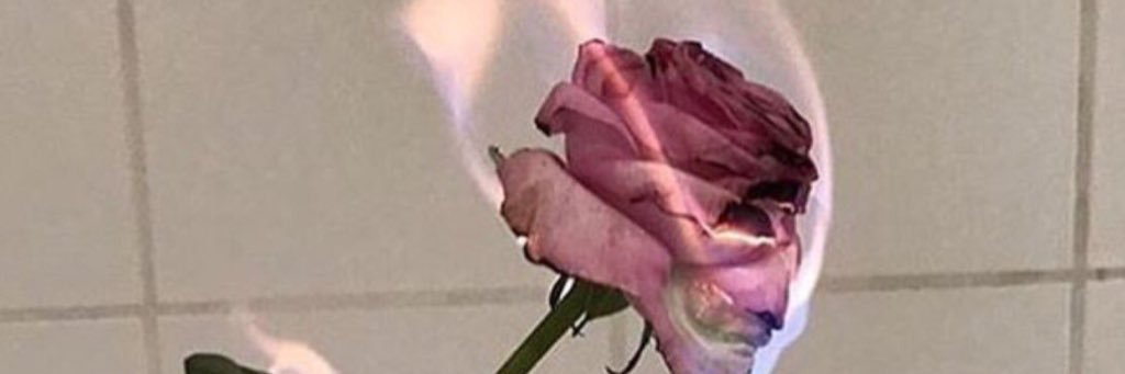 juliaabby_'s profile banner image
