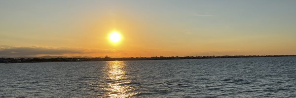 TomHyland4 Profile Banner