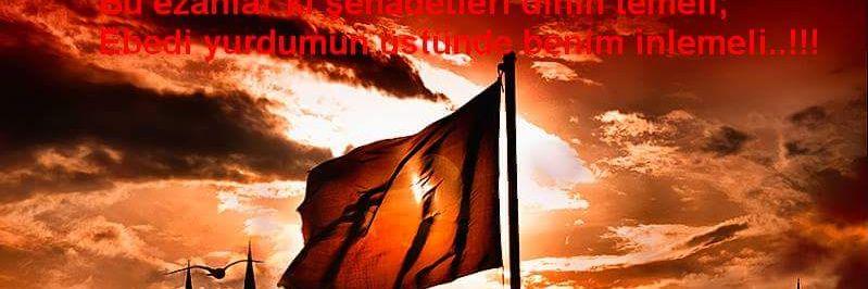 serenibrahim's profile banner image