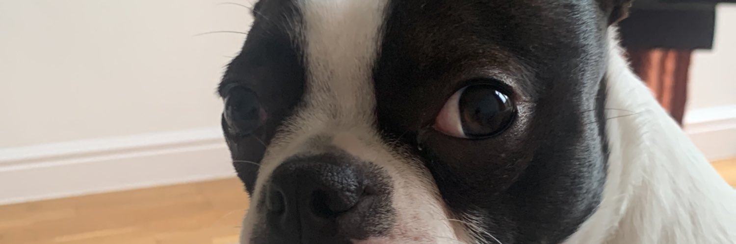 T banner