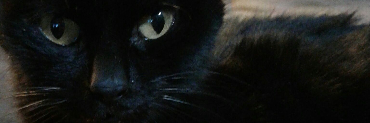 solvailati's profile banner image