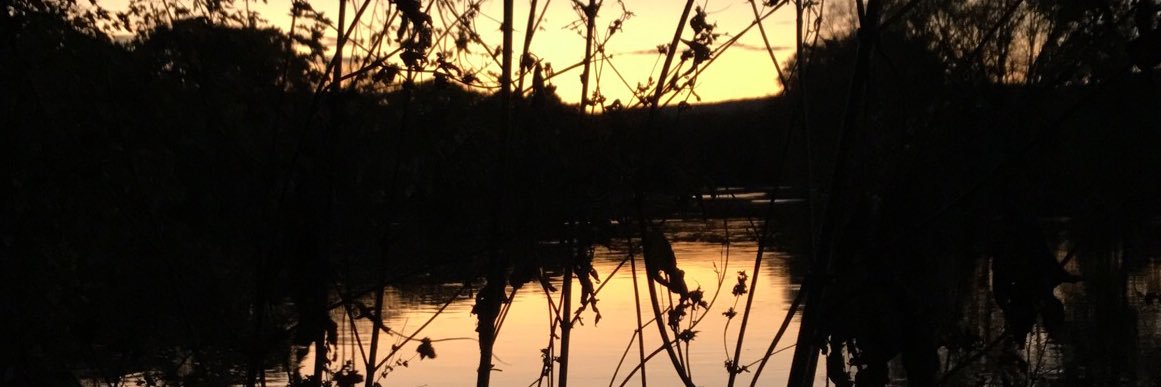MikeDAvanzzo's profile banner image