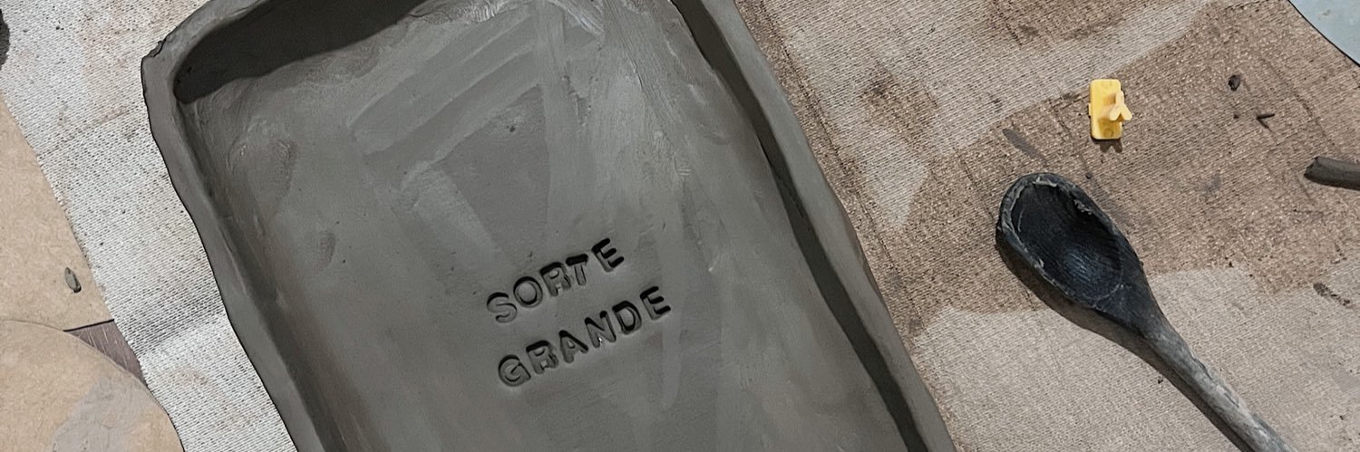 raie em estado onda-partícula banner