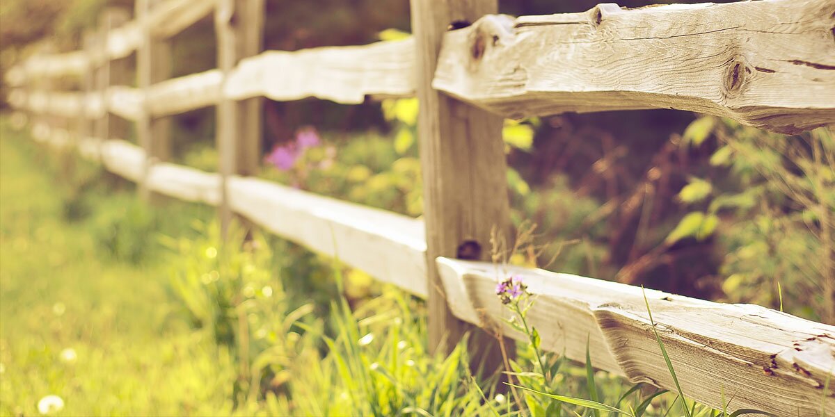 _BrendaLe's profile banner image