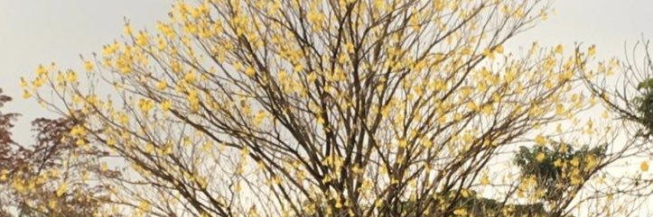 macha_roberts's profile banner image