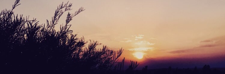 alshouq_H's profile banner image