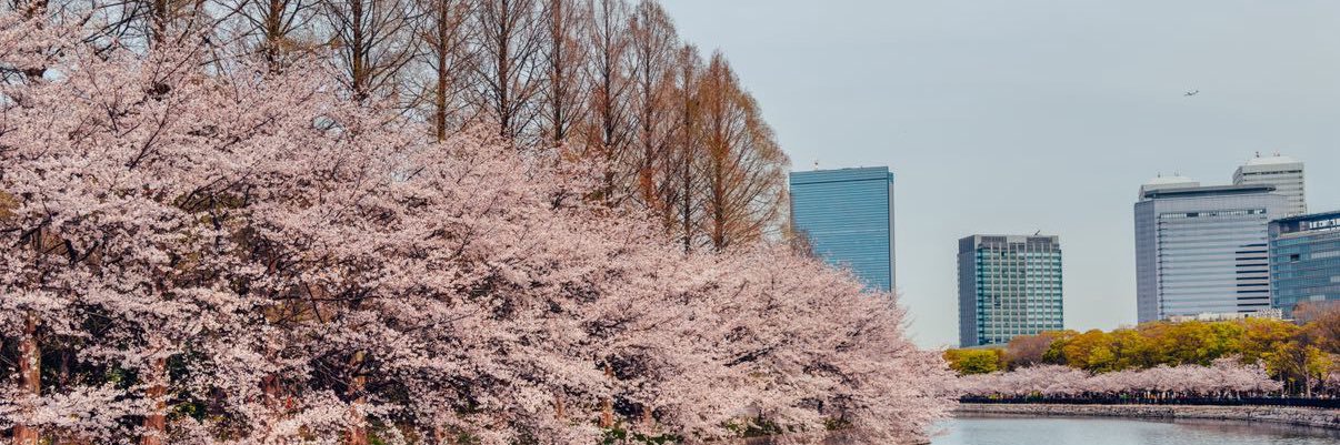 mer_Gb's profile banner image