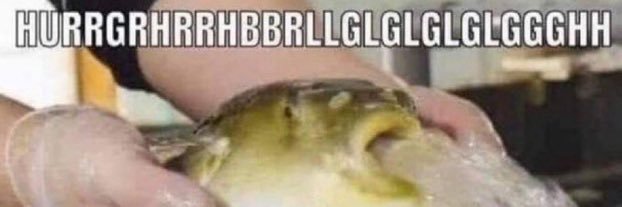 F.A.G: Fake Ass Gamer banner