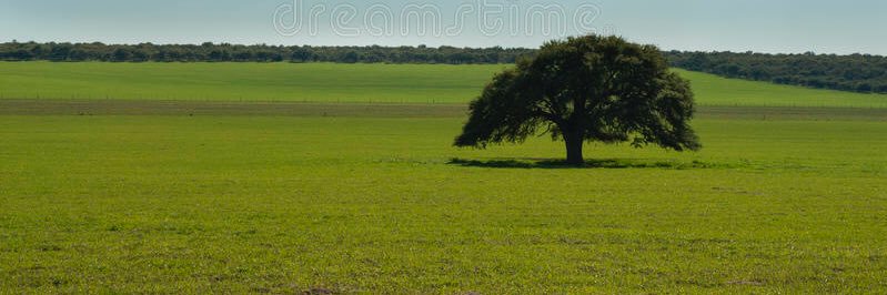 2aCBPA's profile banner image