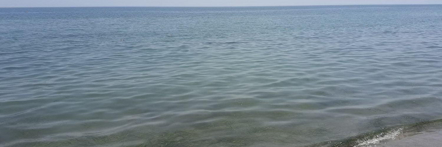 zeljko23173541's profile banner image
