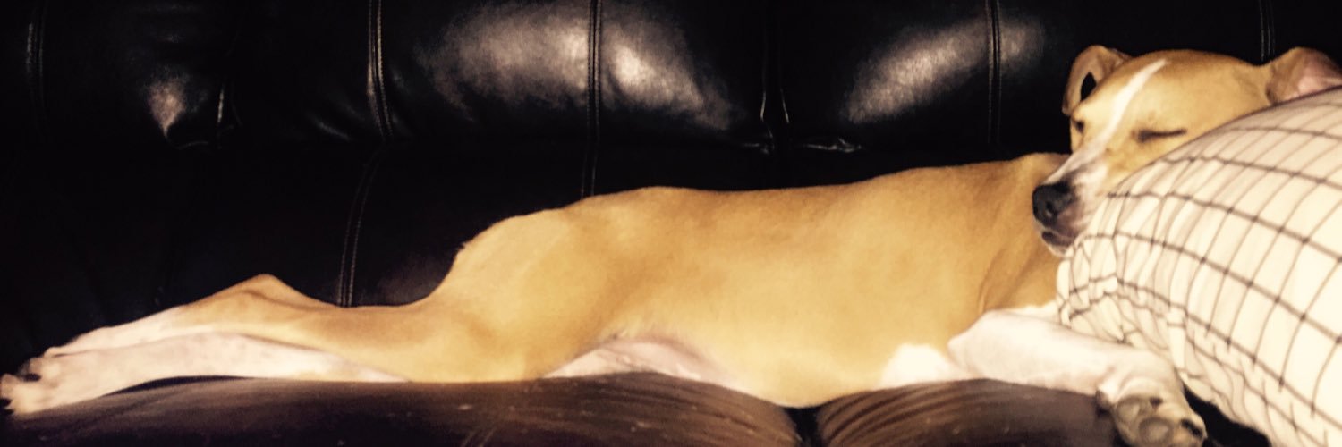 Mike_Capp's profile banner image