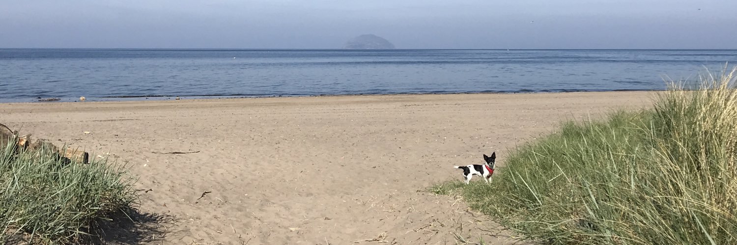 TracyMcC3's profile banner image