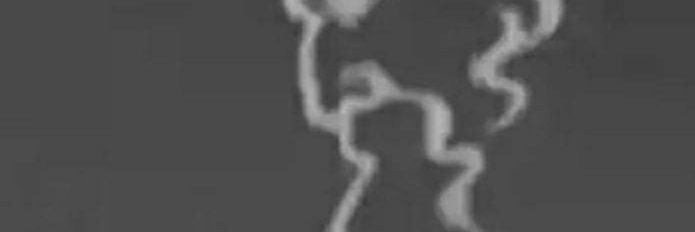 wisethinker52's profile banner image