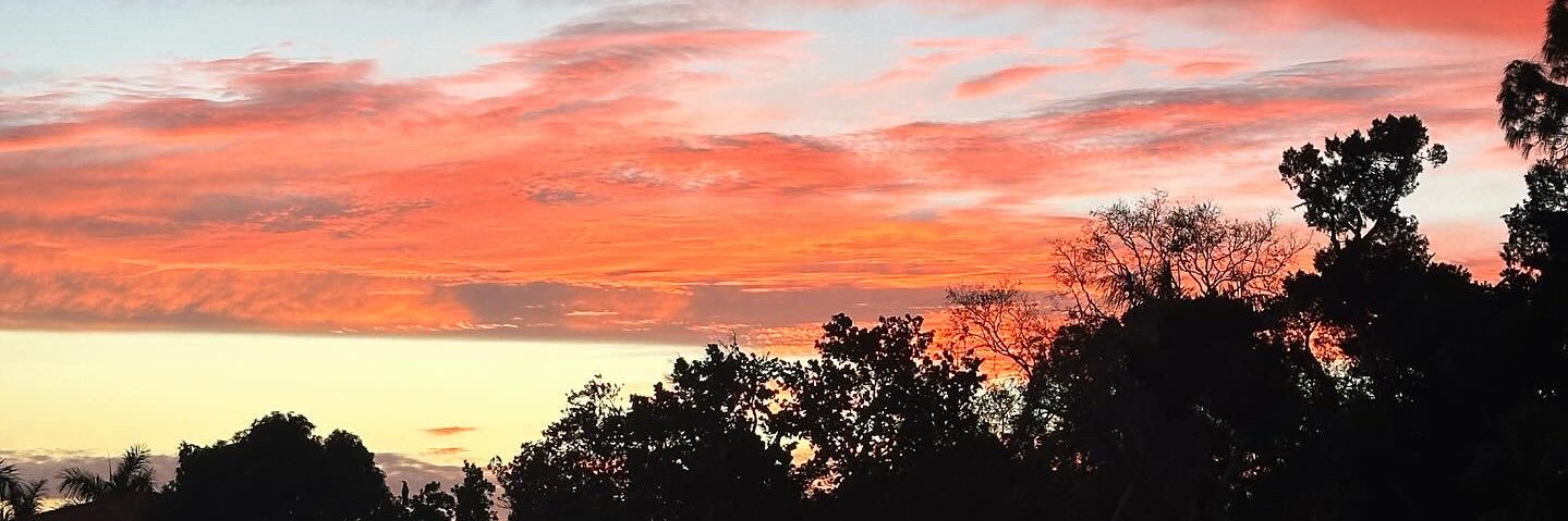 Devyn Flaherty banner