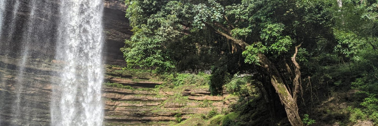 Erica McCormick banner