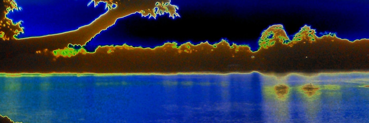 beachanyo's profile banner image