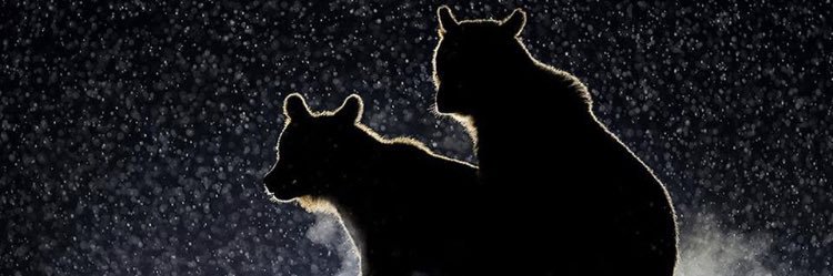 yeyebigman's profile banner image