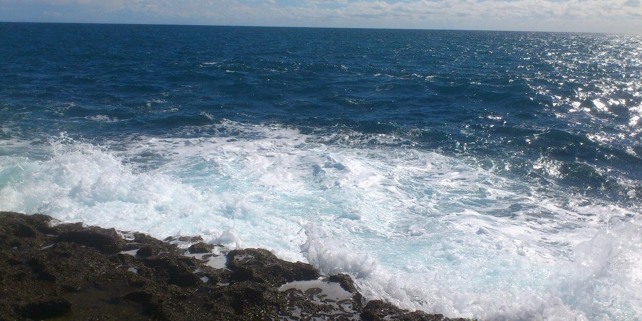 EleonoraQuarta1's profile banner image