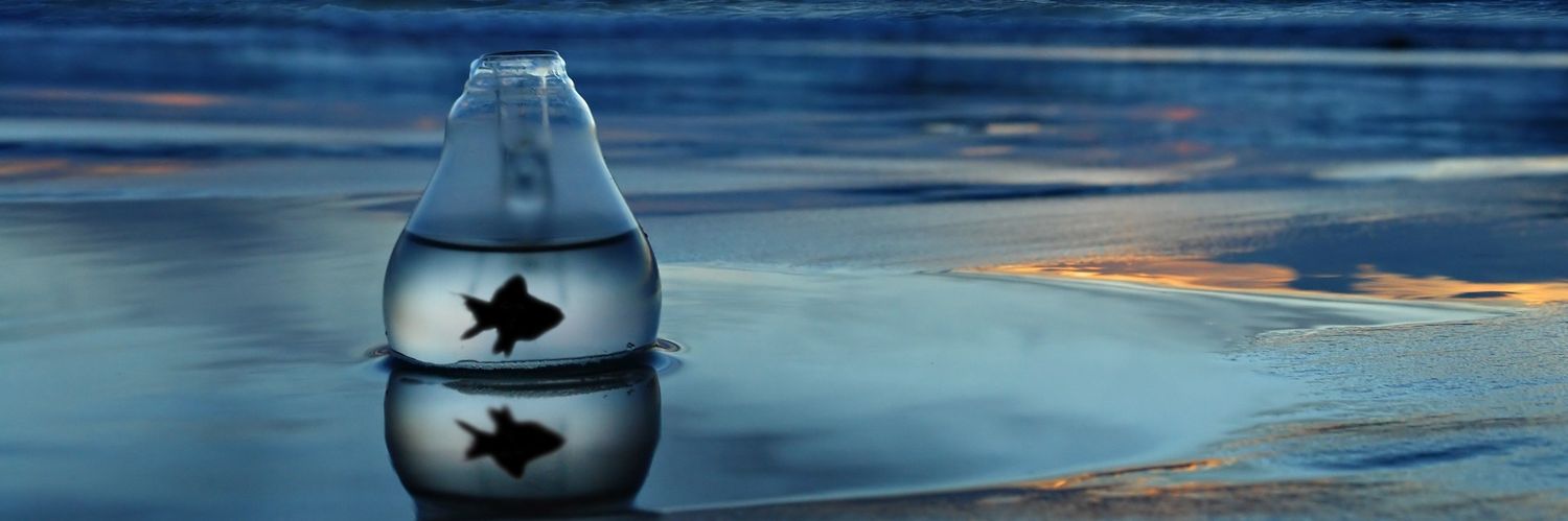 2rainluv's profile banner image