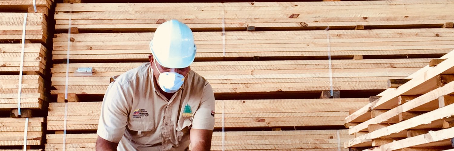 MdelOrinoco's profile banner image