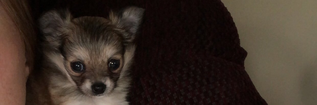 HannahRoberts56's profile banner image