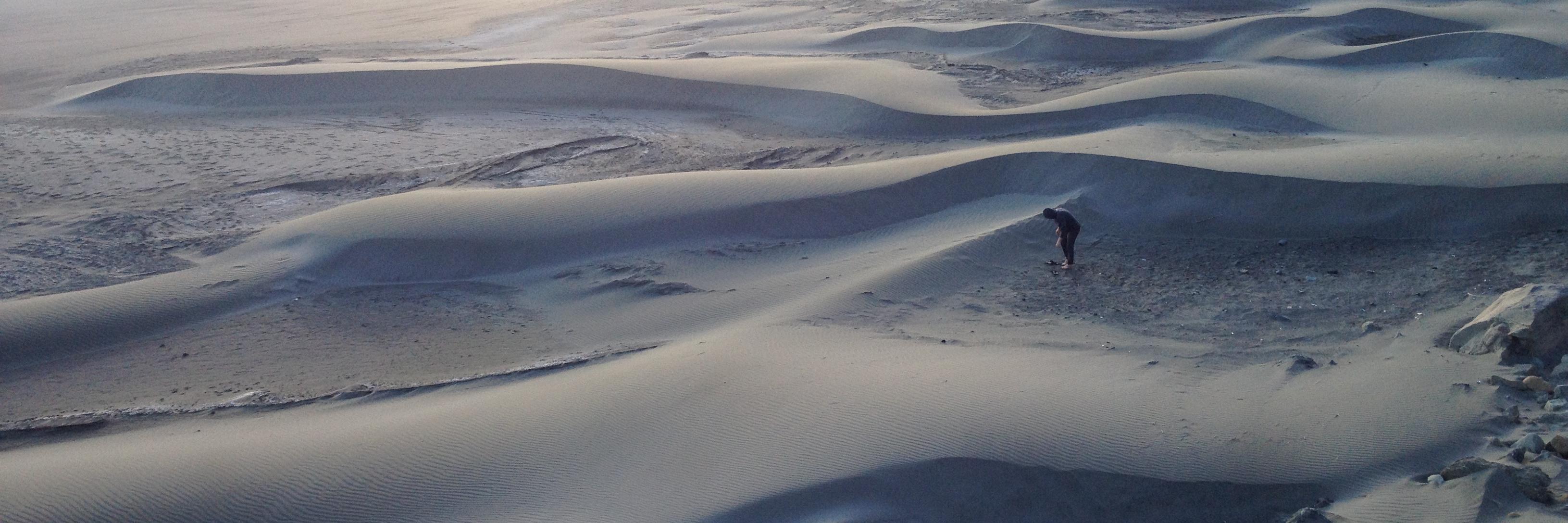 Patrick Dougall banner