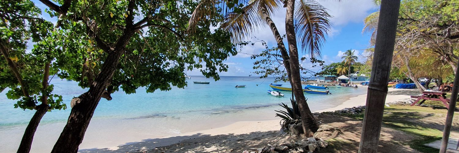 Ross E J Colbert banner