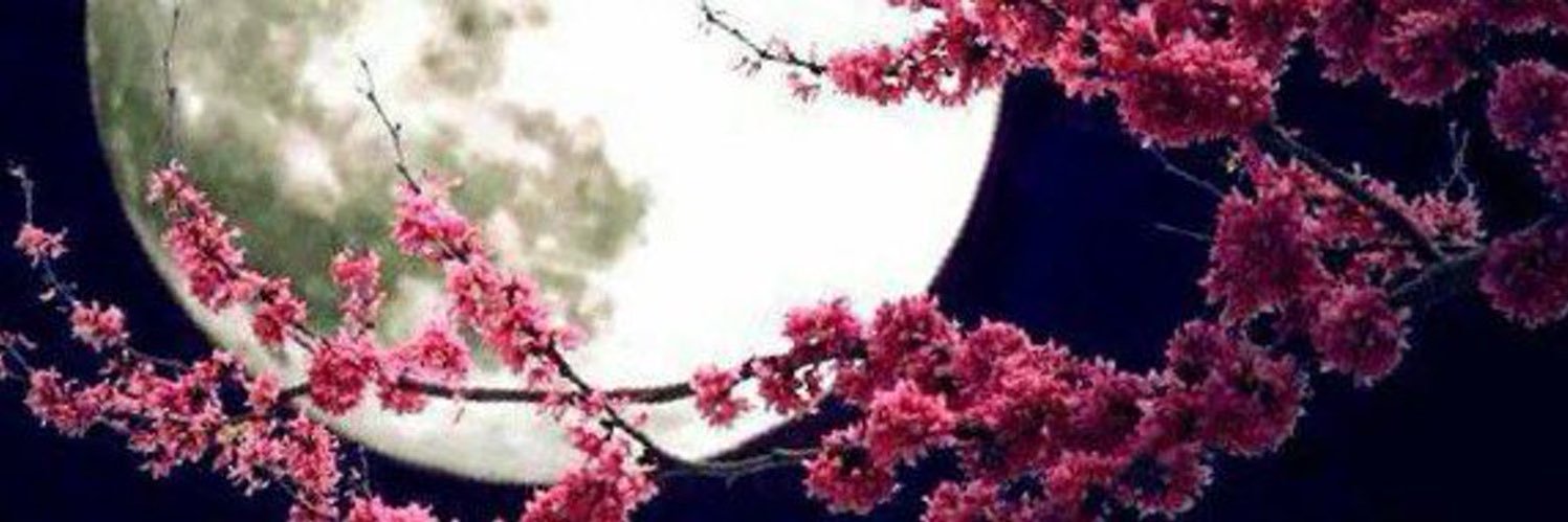 sa_eea's profile banner image