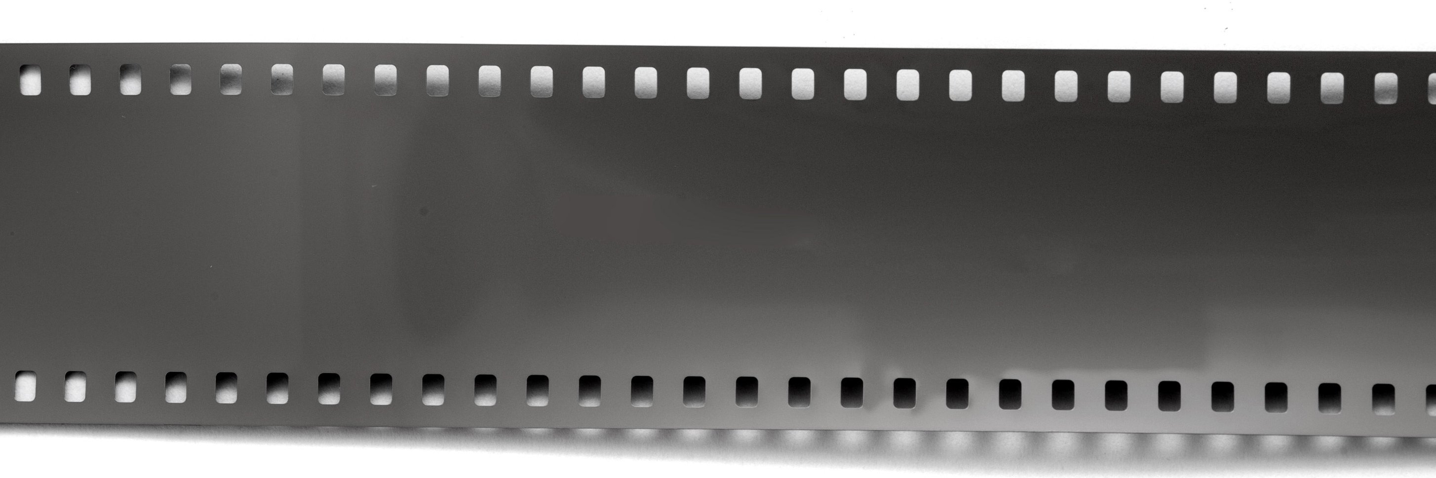 Georgia Film Critics banner