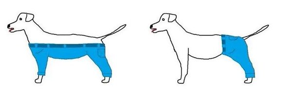 rohin_malhotra Profile Banner