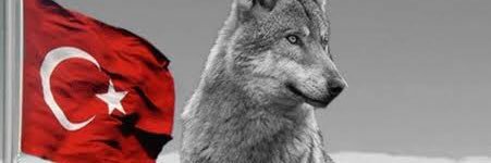 brssvn's profile banner image