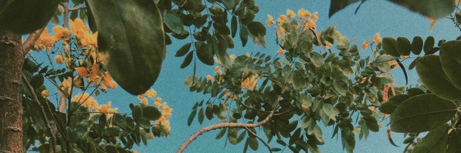elyfowler3's profile banner image