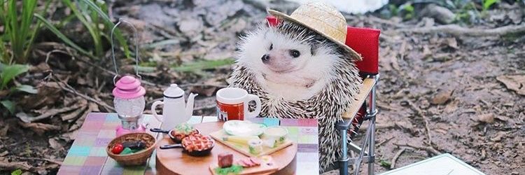 loststacey24's profile banner image