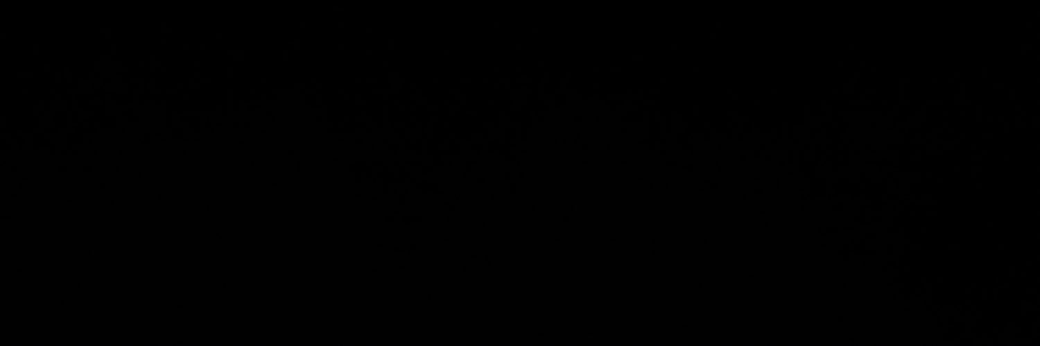 chicoundie's profile banner image