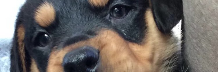 nalexandraa's profile banner image