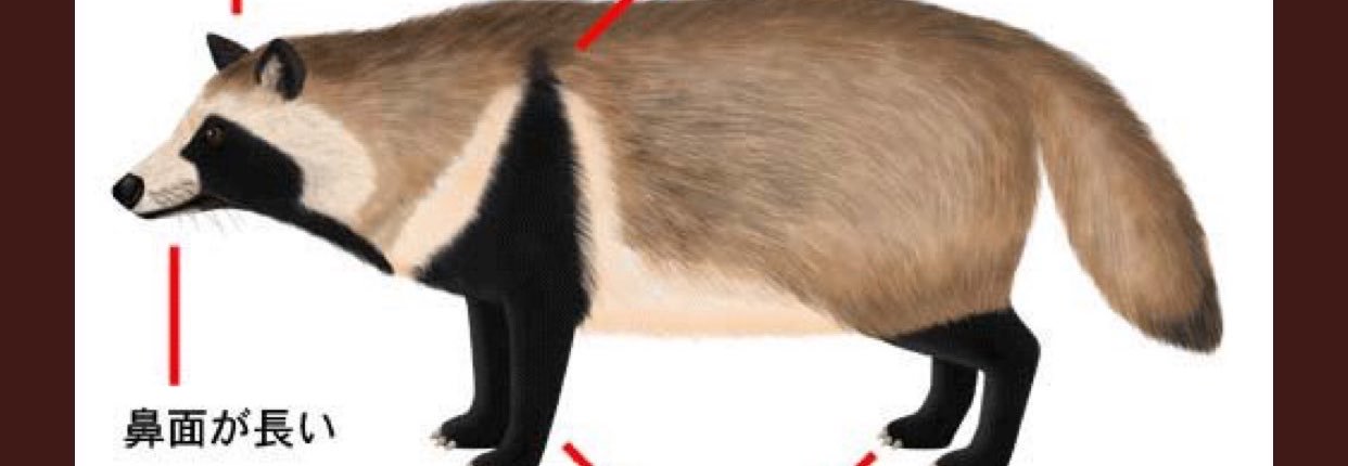 MeirinnTyenn's profile banner image