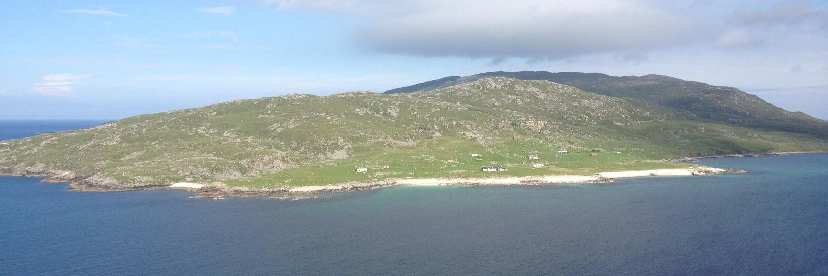 Dr David Henderson banner