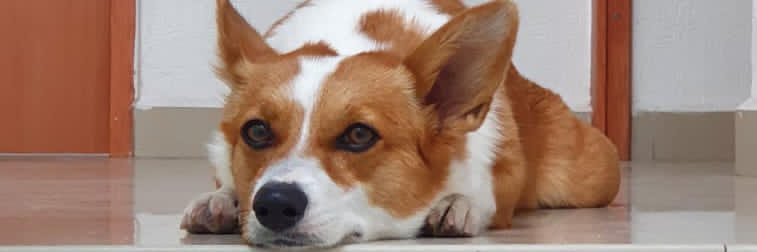 JacobGrandson's profile banner image