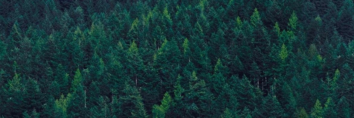 abby_webb23's profile banner image