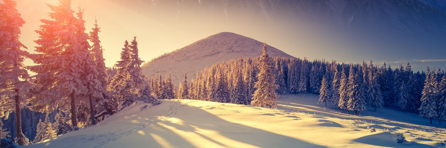 RichardnRoman's profile banner image
