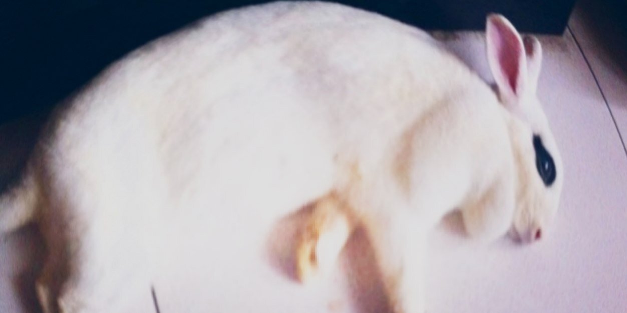 carouselyaya's profile banner image
