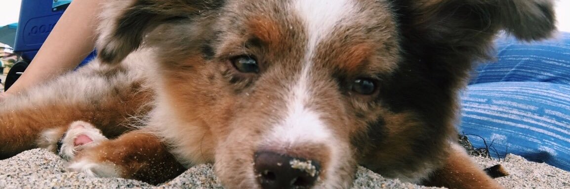 jaclynweberr's profile banner image