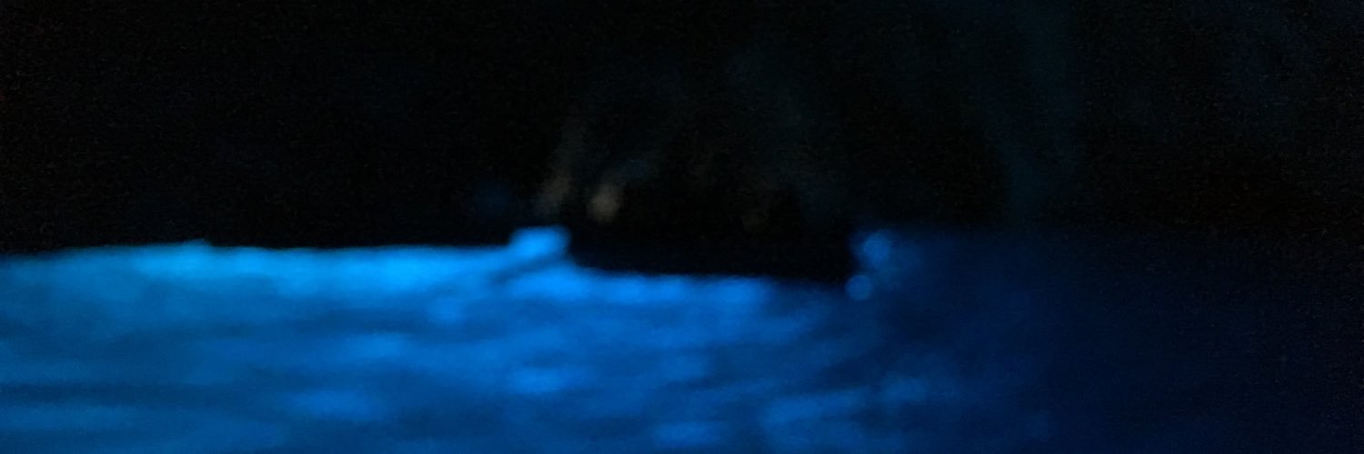 daonasty's profile banner image