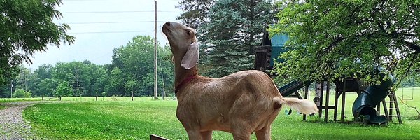 CaptObnoxious Profile Banner