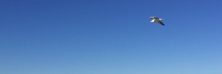tesshowardd's profile banner image