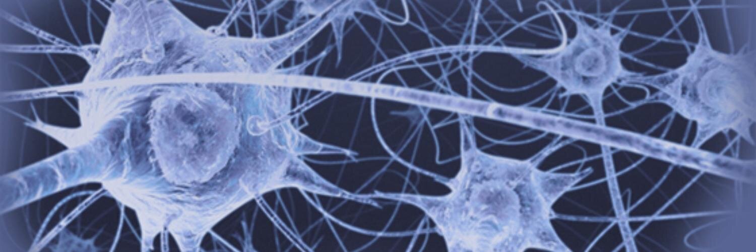 FogelLab's profile banner image