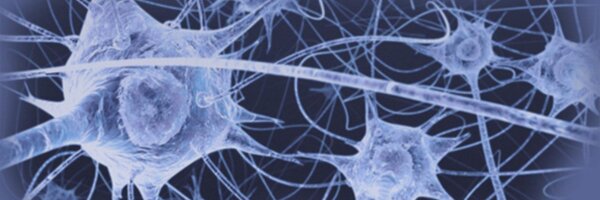 FogelLab Profile Banner